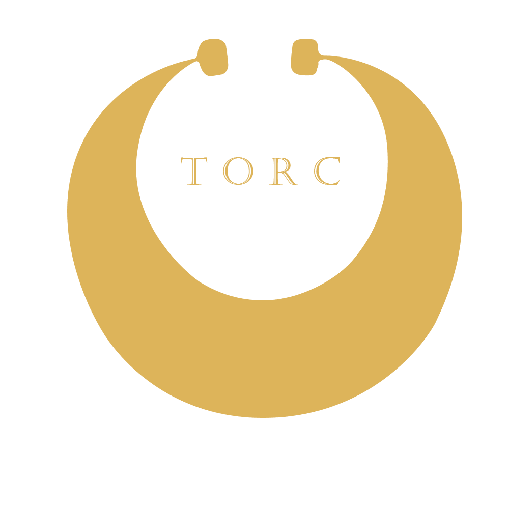 Torc Studio logo: Irish creator of interactive 3D heritage site experiences